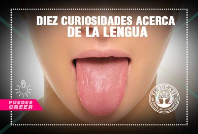 lengua