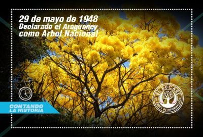 Araguaney como Árbol Nacional