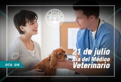 veterinario