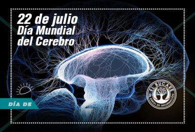 Día Internacional del Cerebro